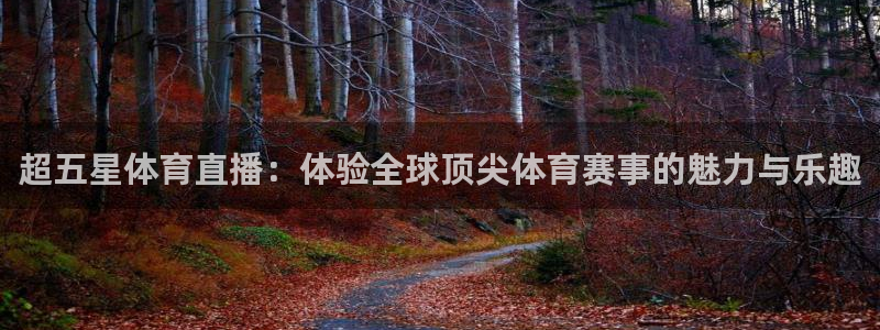 超五星体育直播：体验全球顶尖体育赛事的魅力与乐趣