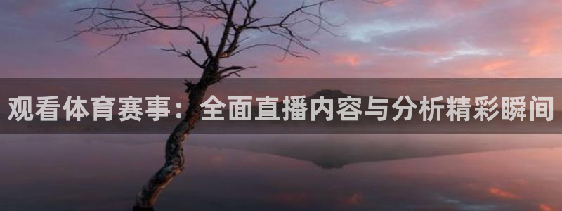 观看体育赛事：全面直播内容与分析精彩瞬间