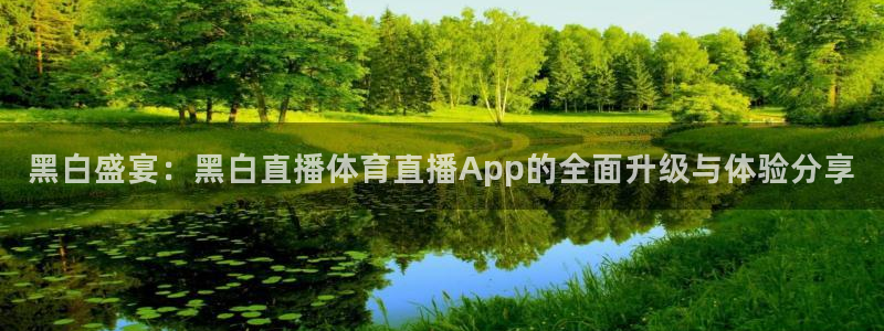 黑白盛宴：黑白直播体育直播App的全面升级与体验分享
