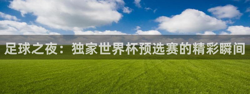 足球之夜：独家世界杯预选赛的精彩瞬间